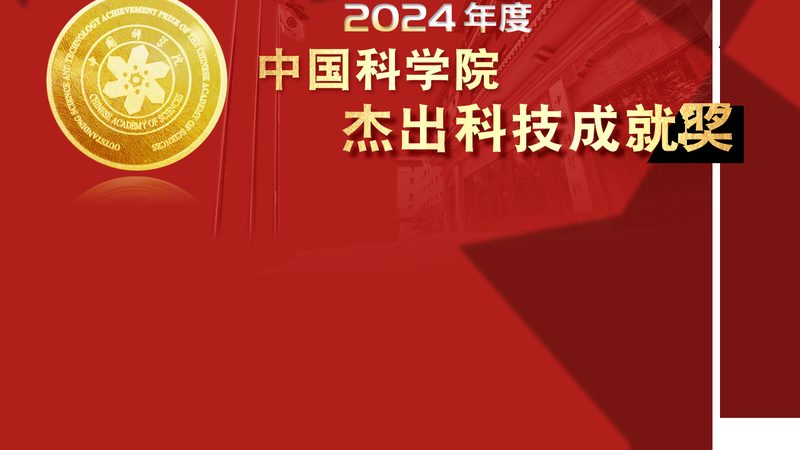 揭秘人工智能应用开发项目案例：从选型到落地的关键要素
